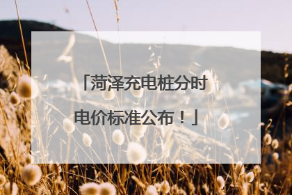 菏泽充电桩分时电价标准公布！