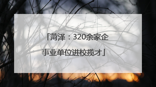 菏泽：320余家企事业单位进校揽才