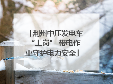 荆州中压发电车“上岗” 带电作业守护电力安全