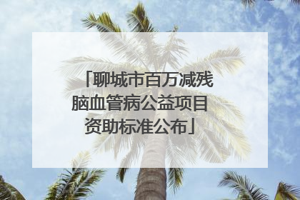 聊城市百万减残脑血管病公益项目资助标准公布