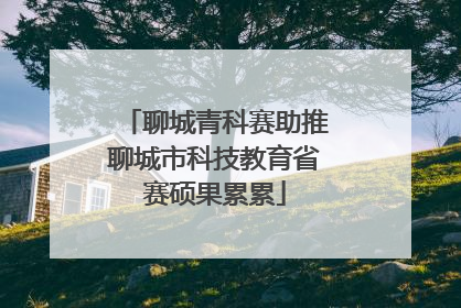 聊城青科赛助推聊城市科技教育省赛硕果累累