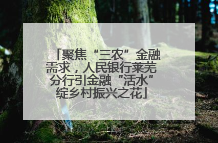 聚焦“三农”金融需求，人民银行莱芜分行引金融“活水”绽乡村振兴之花