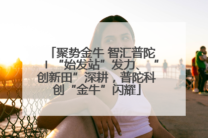 聚势金牛 智汇普陀〡“始发站”发力、“创新田”深耕，普陀科创“金牛”闪耀