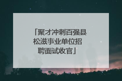 聚才冲刺百强县 松滋事业单位招聘面试收官