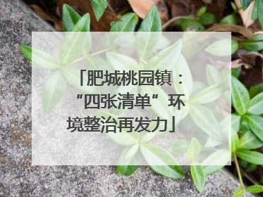 肥城桃园镇：“四张清单”环境整治再发力