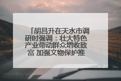胡昌升在天水市调研时强调：壮大特色产业带动群众增收致富 加强文物保护推动文化创新发展