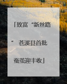 致富“新丝路” 苍溪县首批蚕茧迎丰收