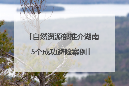 自然资源部推介湖南5个成功避险案例
