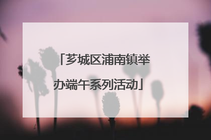 芗城区浦南镇举办端午系列活动