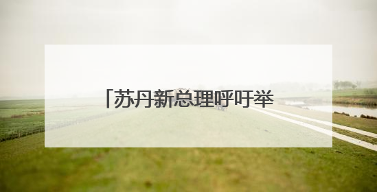 苏丹新总理呼吁举行全面政治对话