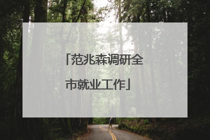 范兆森调研全市就业工作