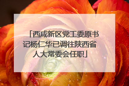 西咸新区党工委原书记杨仁华已调往陕西省人大常委会任职