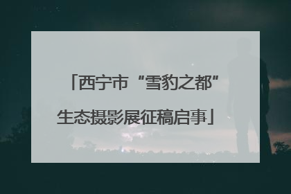 西宁市“雪豹之都”生态摄影展征稿启事