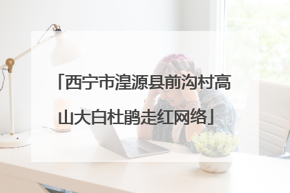 西宁市湟源县前沟村高山大白杜鹃走红网络