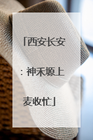 西安长安：神禾塬上麦收忙