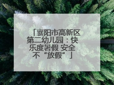 襄阳市高新区第二幼儿园：快乐度暑假 安全不“放假”