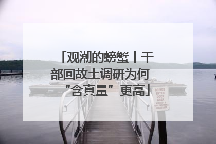 观潮的螃蟹丨干部回故土调研为何“含真量”更高