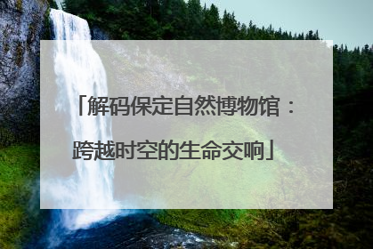 解码保定自然博物馆：跨越时空的生命交响