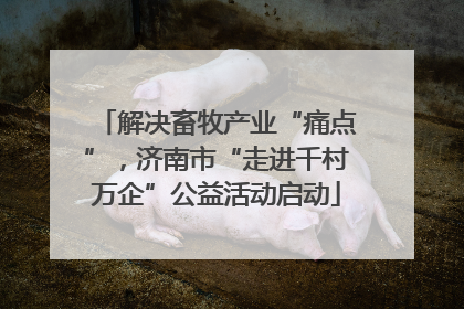 解决畜牧产业“痛点”，济南市“走进千村万企”公益活动启动