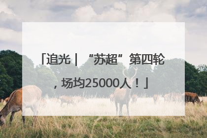 追光｜“苏超”第四轮，场均25000人！