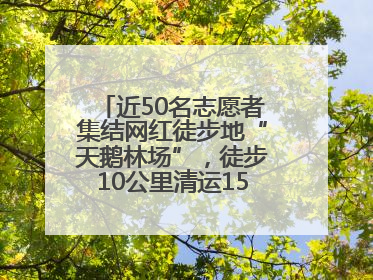 近50名志愿者集结网红徒步地“天鹅林场”，徒步10公里清运150余斤山野垃圾