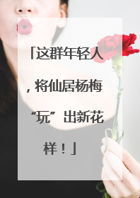 这群年轻人，将仙居杨梅“玩”出新花样！