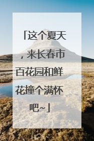 这个夏天，来长春市百花园和鲜花撞个满怀吧~