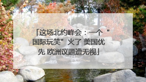 这场北约峰会：一个“国际玩笑”火了 美国优先 欧洲议题遭无视