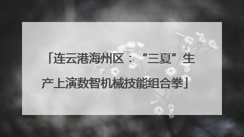 连云港海州区：“三夏”生产上演数智机械技能组合拳