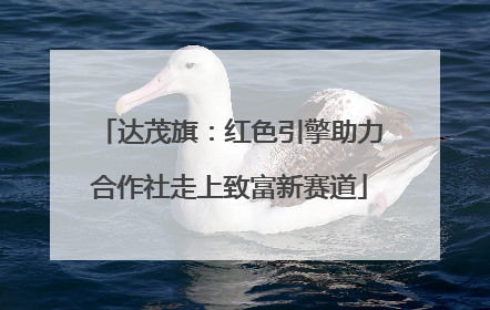 达茂旗：红色引擎助力合作社走上致富新赛道