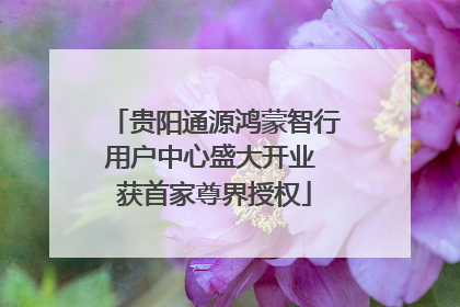 贵阳通源鸿蒙智行用户中心盛大开业 获首家尊界授权