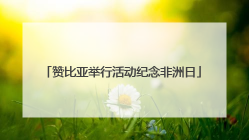 赞比亚举行活动纪念非洲日