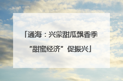 通海：兴蒙甜瓜飘香季 “甜蜜经济”促振兴