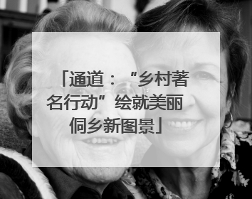 通道：“乡村著名行动”绘就美丽侗乡新图景