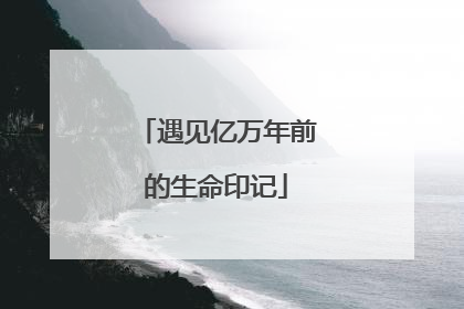 遇见亿万年前的生命印记