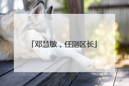 邓慧敏，任副区长