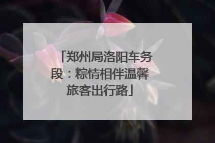 郑州局洛阳车务段：粽情相伴温馨旅客出行路