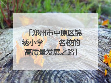 郑州市中原区锦绣小学——名校的高质量发展之路