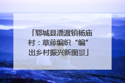 郓城县潘渡镇杨庙村：草藤编织“编”出乡村振兴新图景