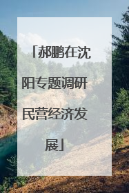 郝鹏在沈阳专题调研民营经济发展