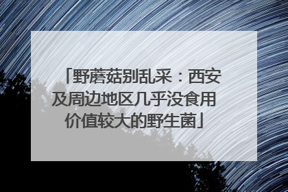 野蘑菇别乱采：西安及周边地区几乎没食用价值较大的野生菌
