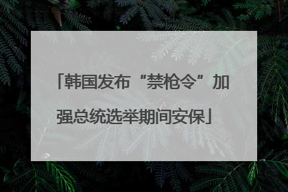 韩国发布“禁枪令”加强总统选举期间安保