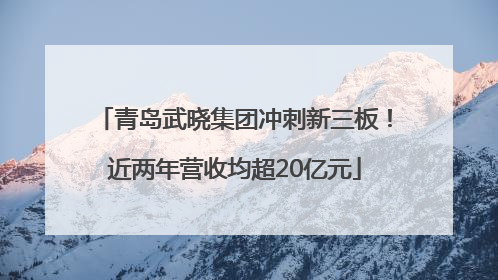 青岛武晓集团冲刺新三板！近两年营收均超20亿元