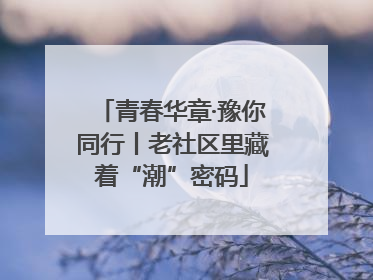 青春华章·豫你同行丨老社区里藏着“潮”密码