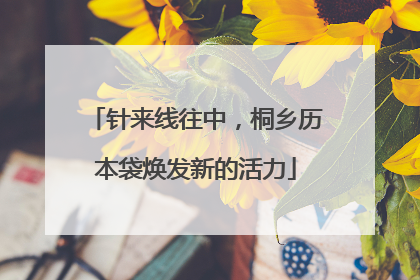 针来线往中，桐乡历本袋焕发新的活力