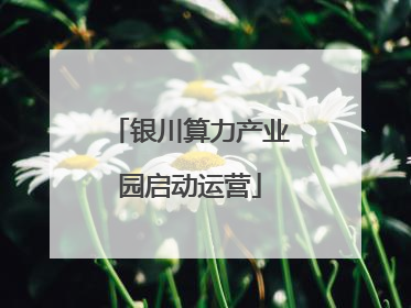 银川算力产业园启动运营