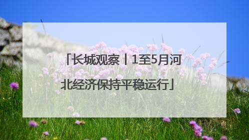 长城观察丨1至5月河北经济保持平稳运行
