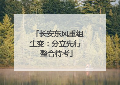 长安东风重组生变：分立先行 整合待考