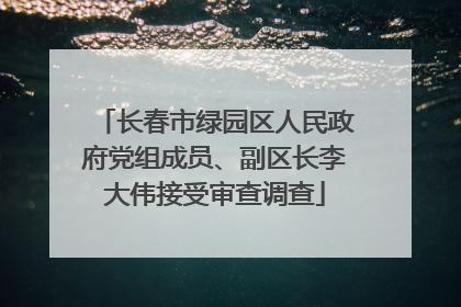 长春市绿园区人民政府党组成员、副区长李大伟接受审查调查