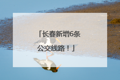 长春新增6条公交线路！